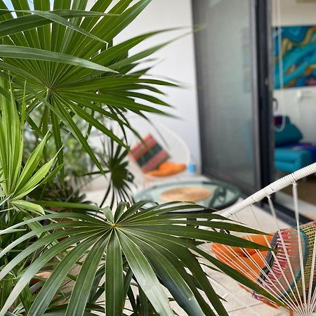 Family Apartments Near Beach Polo88 ปลายาเดลการ์เมน ภายนอก รูปภาพ